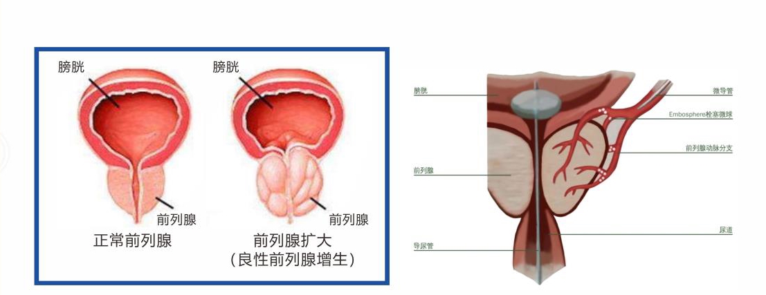 360截图20221012145541246