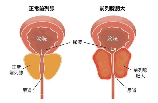 新闻源技术537